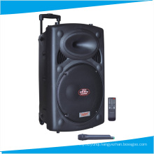 8′′ Inch Wireless Speaker Party Speaker with Trolley F631s